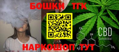 шишки Будённовск