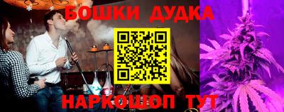 шишки Будённовск