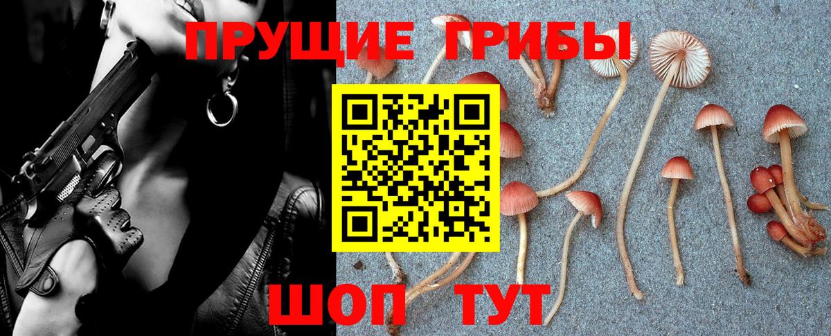 Псилоцибиновые грибы GOLDEN TEACHER Реутов